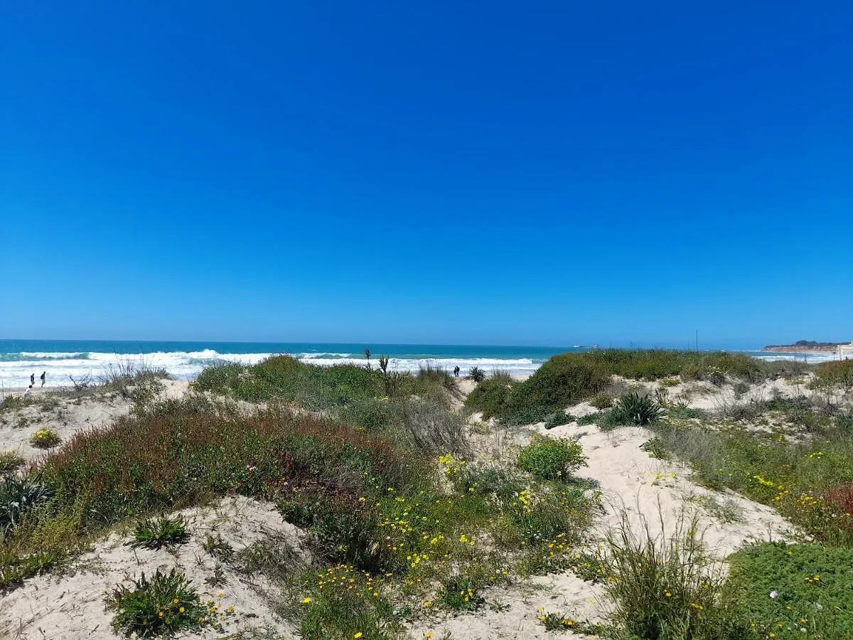 Aparthotel Novo Sancti Petri Chiclana de la Frontera 3*,